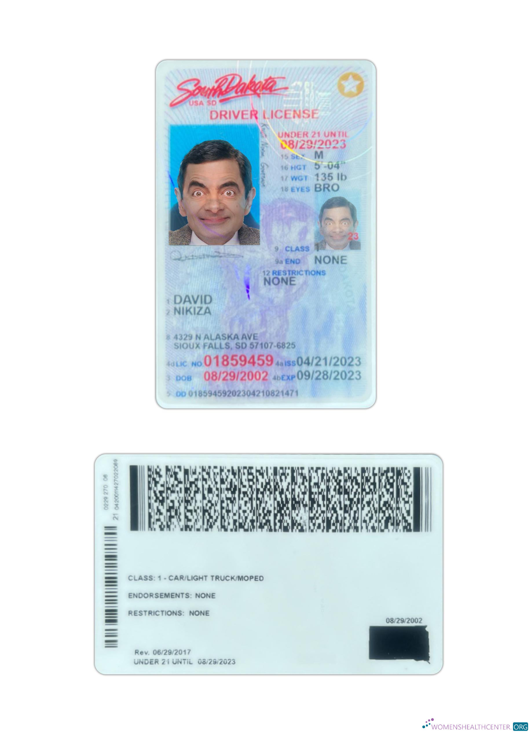 download USA South Dakota under 21 driving license 2023 present